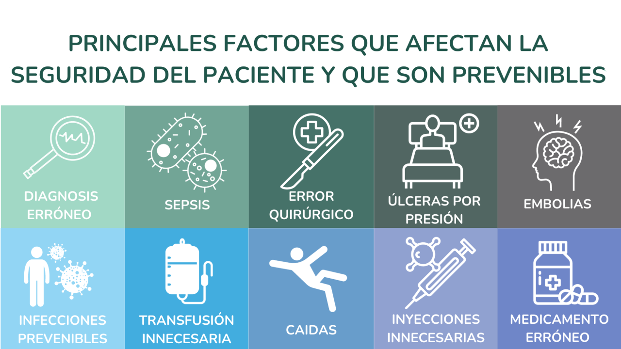 Seguridad Del Paciente